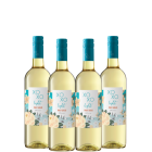 XOXO Light Pinot Grigio 4 x 750mL